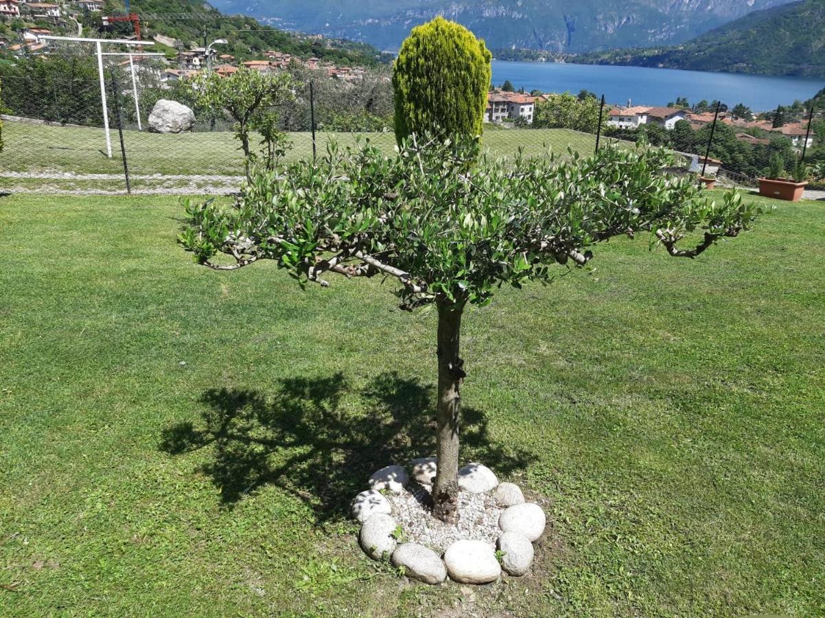 B&B Garzola Ossuccio Eksteriør billede