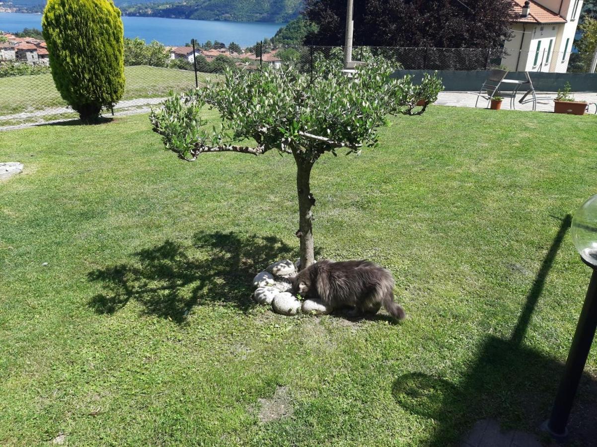 B&B Garzola Ossuccio Eksteriør billede
